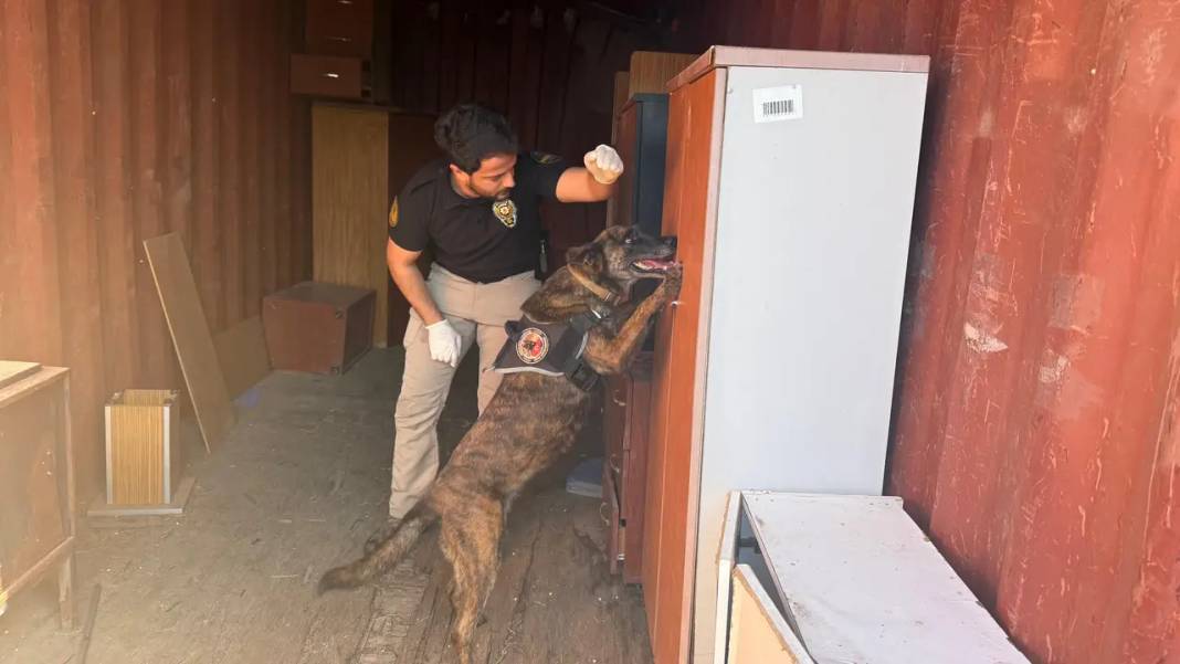 Köpekler Madde Değil Oyuncağını Arıyor 6